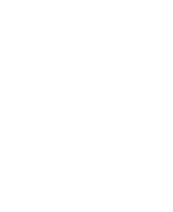 Kotabitus